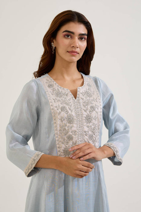 Sky Dori Tissue Anarkali with Narrow Pants - Set of 2