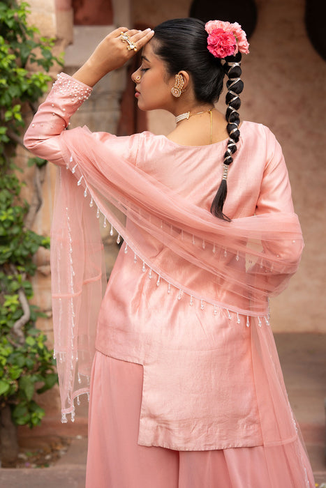 Blush Pink Hand-Embroidered Sharara Set