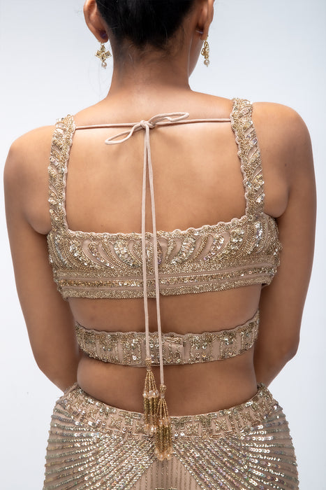 Golden Mirage Mermaid lehenga