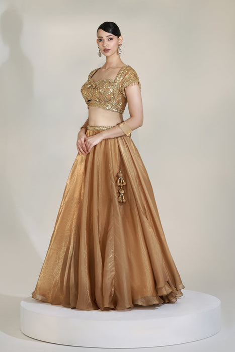 LUSTRE LEHENGA SET