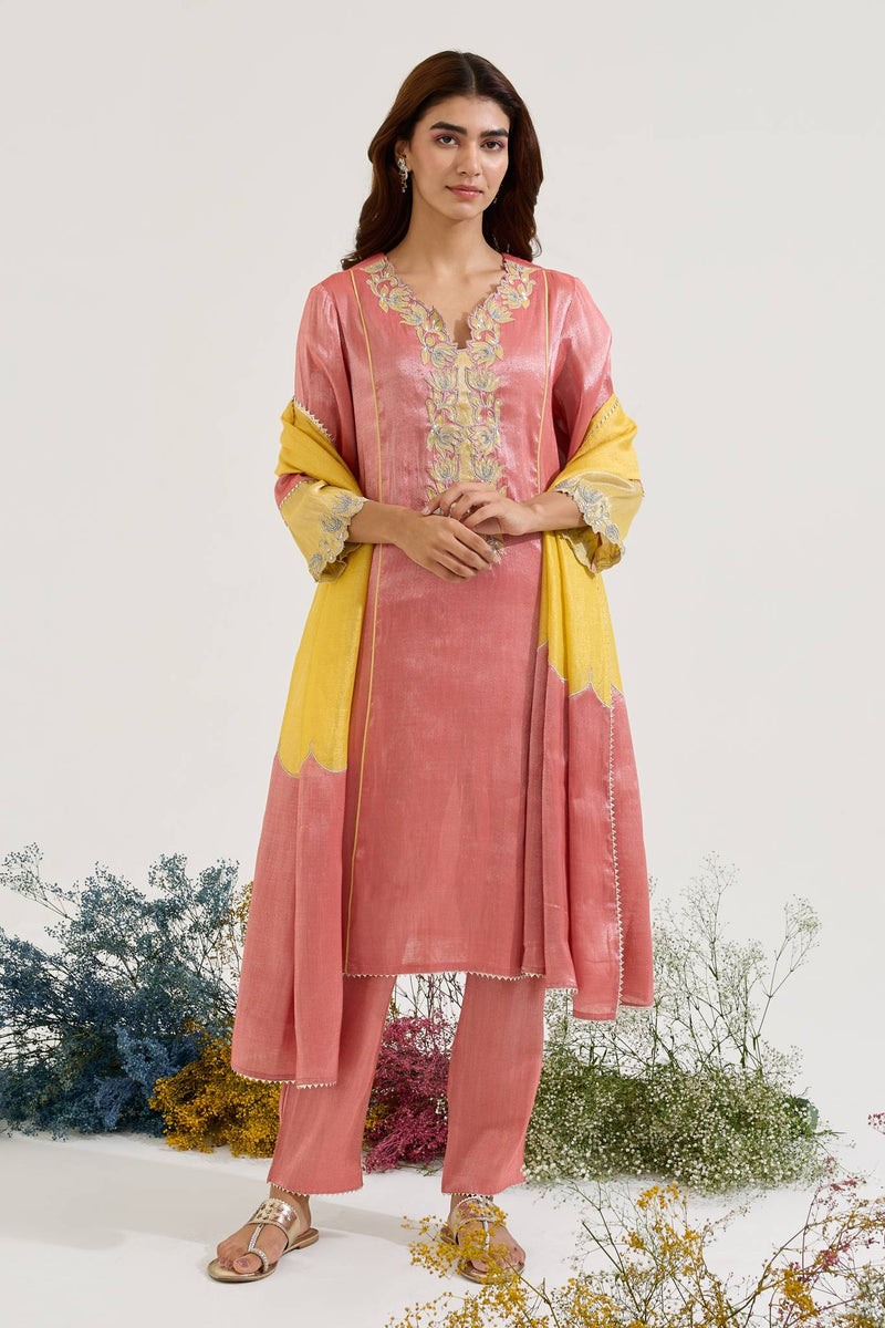 Red Lotus Zari Embroidered Chanderi Stripe with Tissue Panel Dupatta
