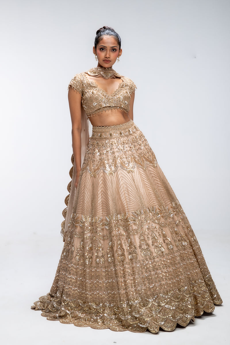 Golden Mirage Scallop Lehenga