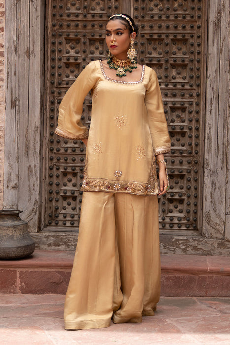 Noor-e-Zar Hand-Embroidered Sharara Set