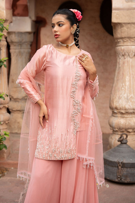 Blush Pink Hand-Embroidered Sharara Set