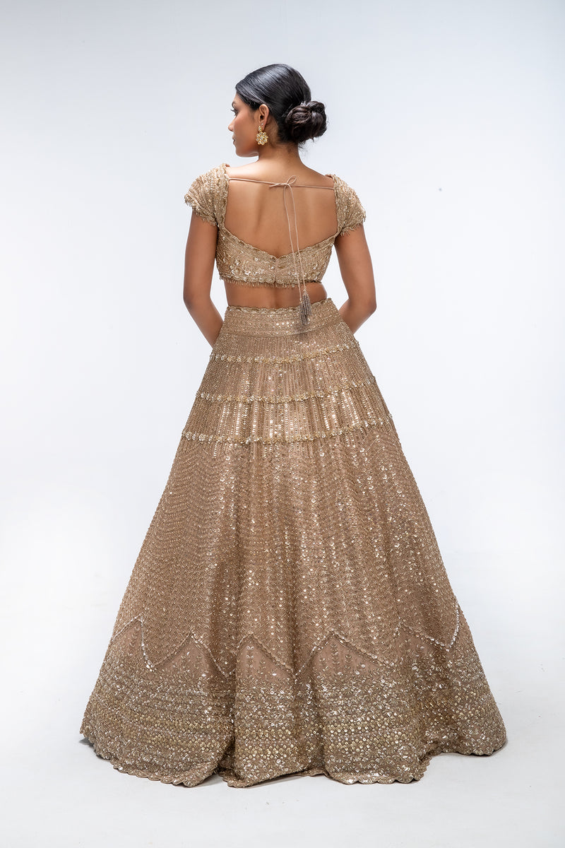 Golden Mirage Crest lehenga