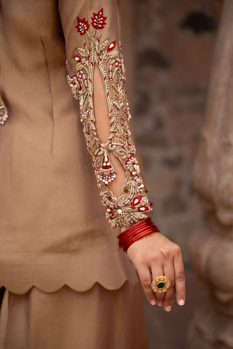 Zehra Hand-Embroidered Farshi Salwar Set
