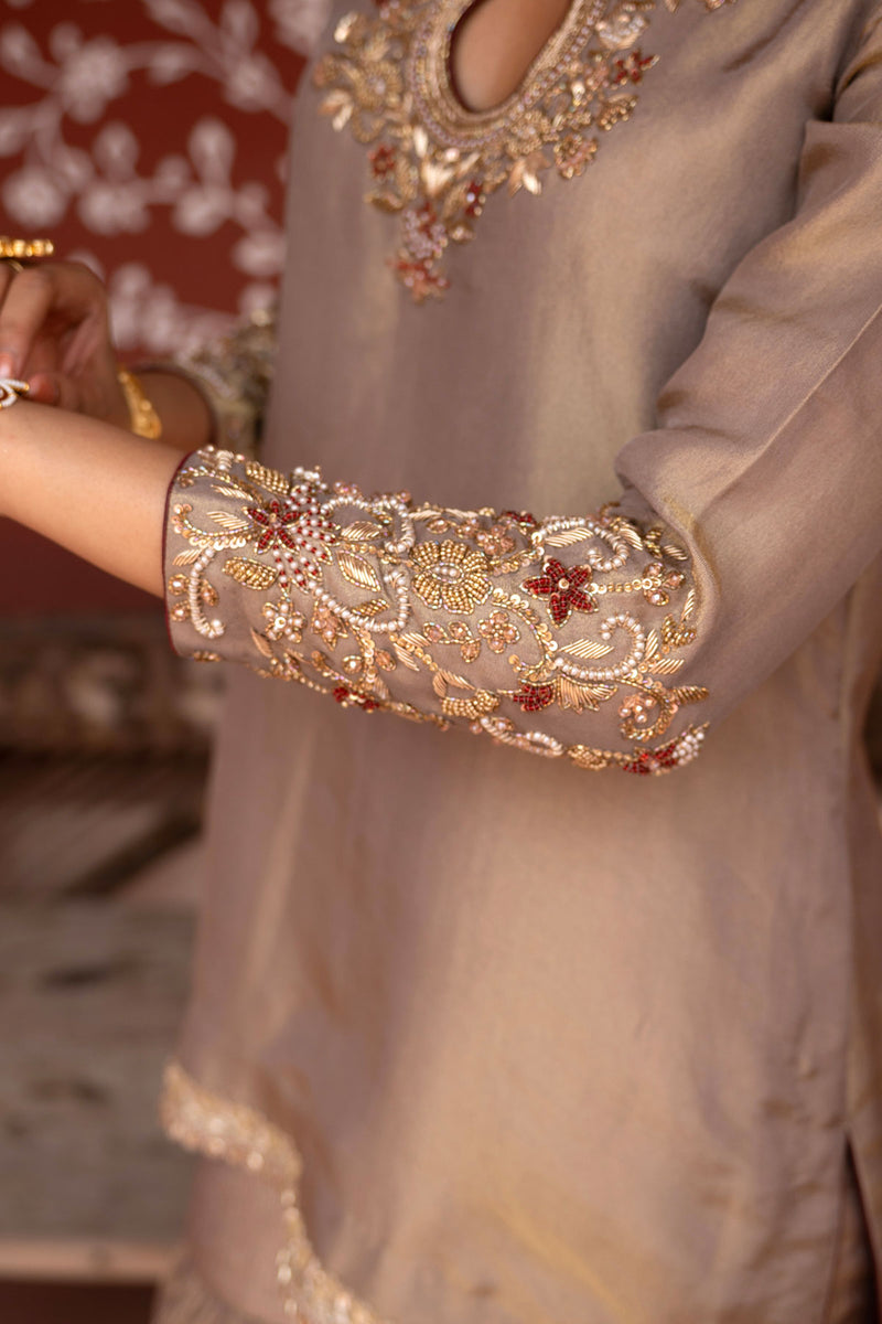 Shahbano Hand-Embroidered Gharara Set