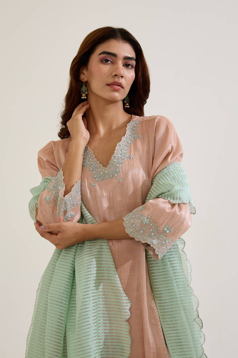 Pink Floral Zari Tissue Anarkali with Narrow Pants and Dupatta - Set of 3