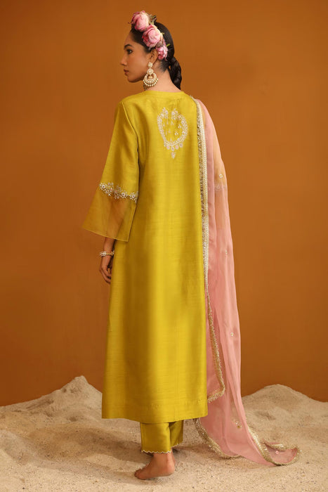 Shehnaz Kurta Set - Pear Green