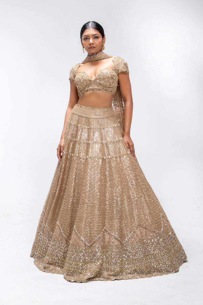 Golden Mirage Crest lehenga