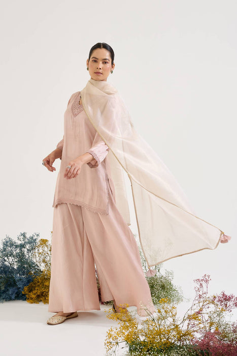 Old Pink Charm Tissue Kurta with Sharara - Set of 2