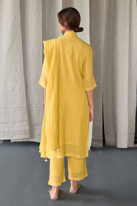 Crinkle Applique Tencel Kurta Set(of 3)-Yellow
