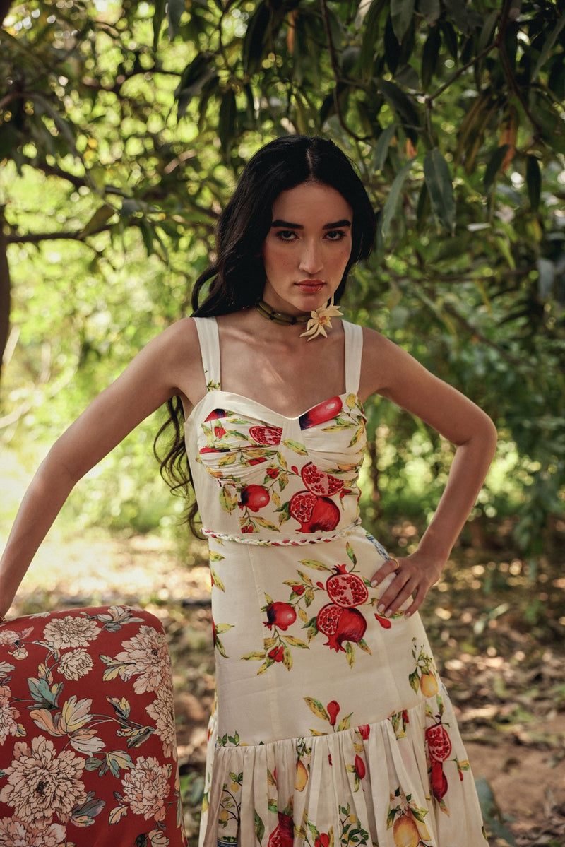 Mirzaa Dress