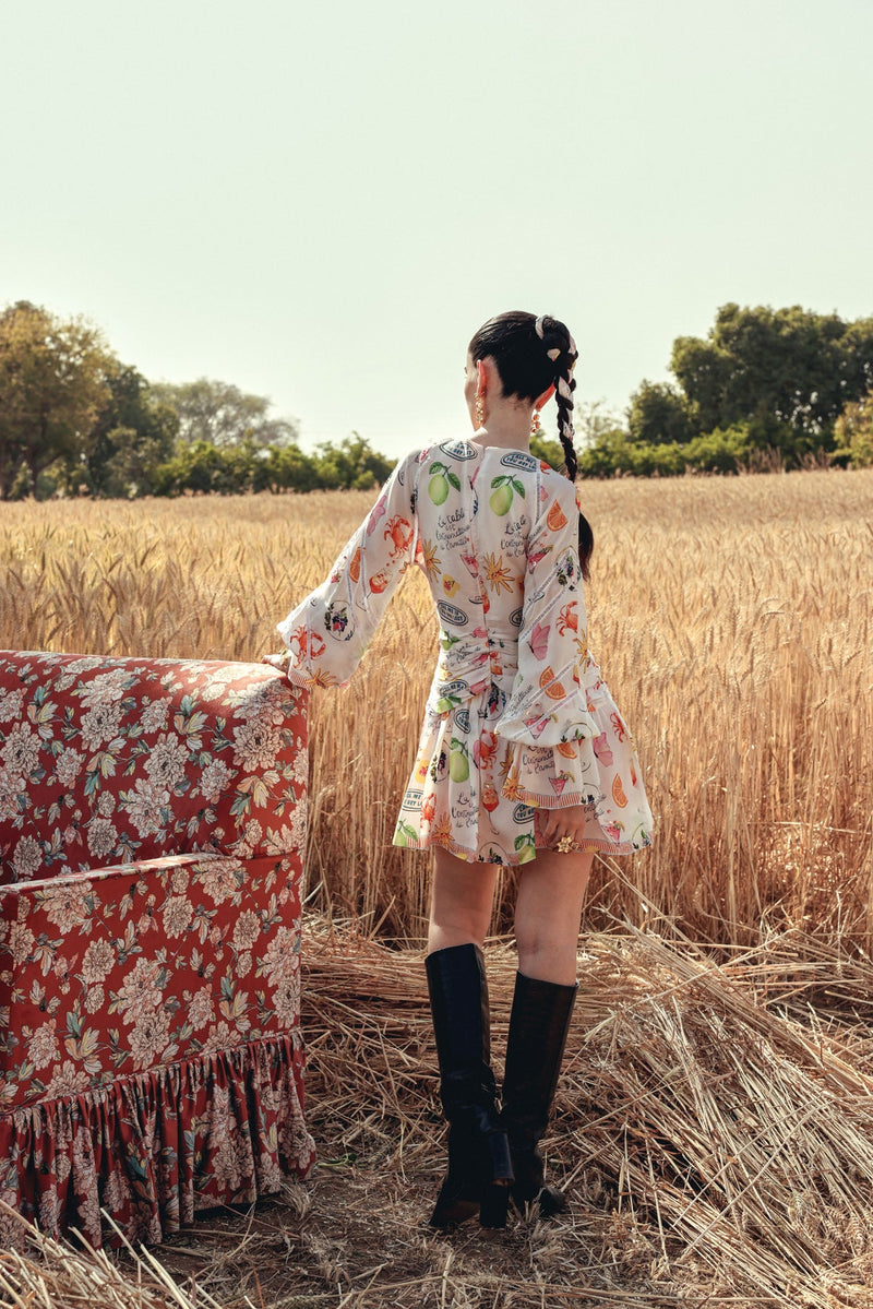 Zayara dress