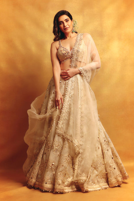 Karishma Lehenga Set