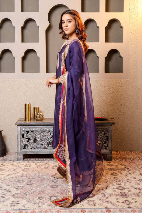 Purple Embroidered Salwar Kameez Set