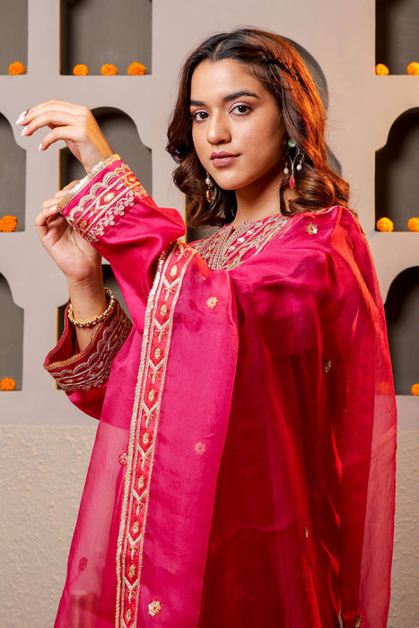 Elegant wine color Embroidered Salwar Kameez Set