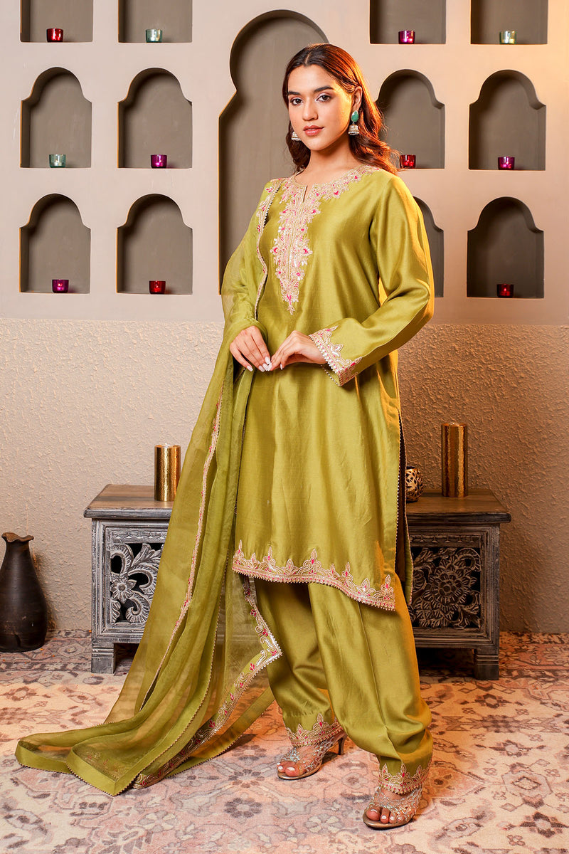 Green Embroidered Salwar Kameez Set