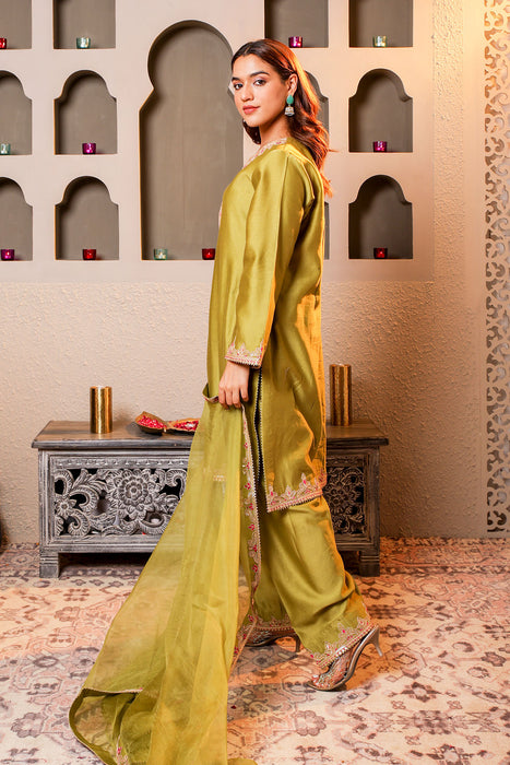 Green Embroidered Salwar Kameez Set