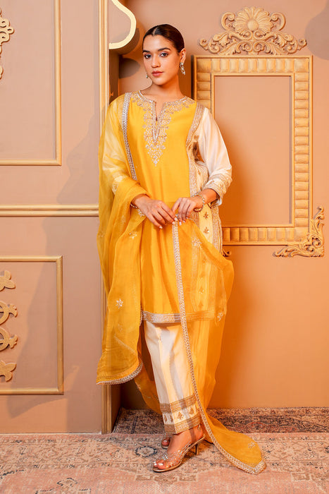 Golden Glow Embroidered Suit Set