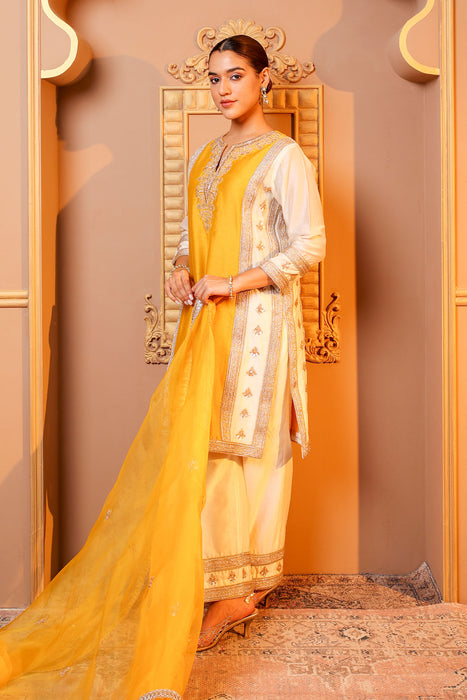 Golden Glow Embroidered Suit Set