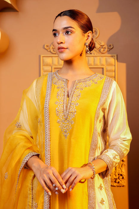 Golden Glow Embroidered Suit Set