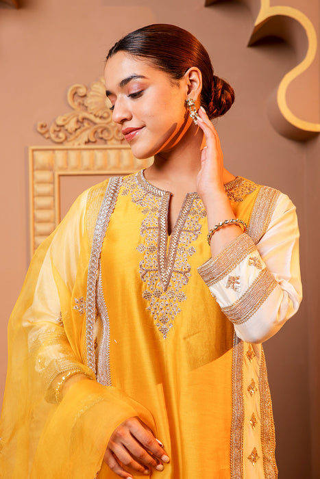 Golden Glow Embroidered Suit Set