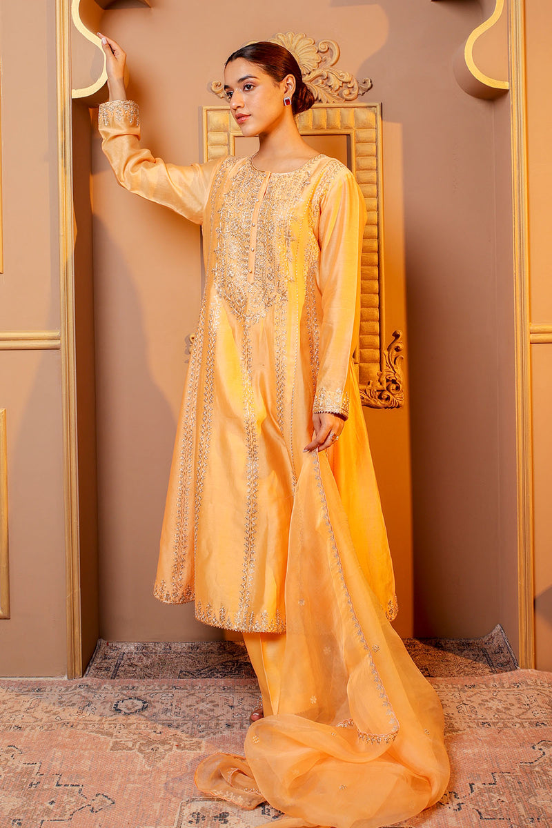 Peach Embroidered Salwar Kameez Set