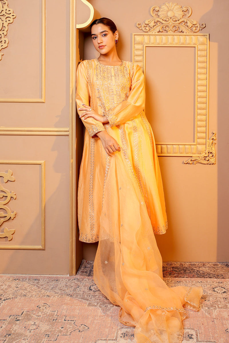 Peach Embroidered Salwar Kameez Set