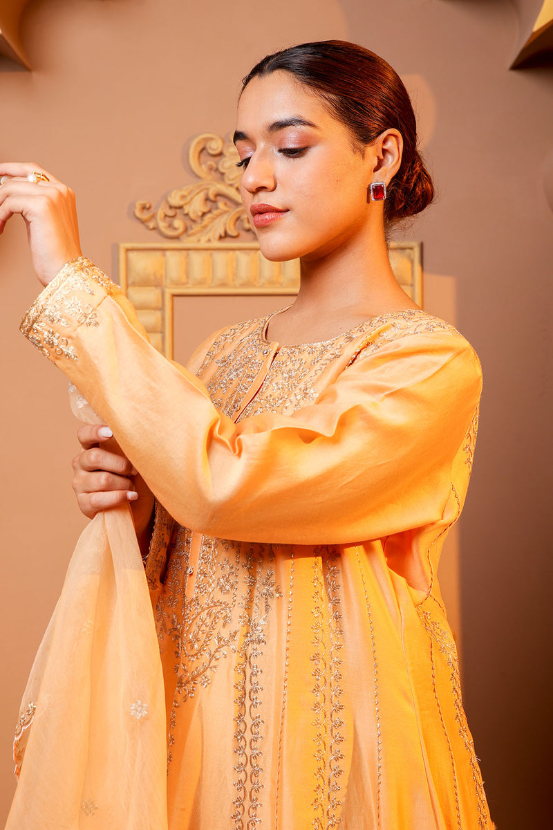 Peach Embroidered Salwar Kameez Set