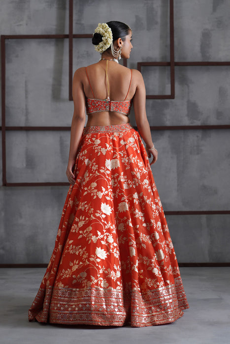 Orange embroidered bustier, banarsi lehenga and dupatta