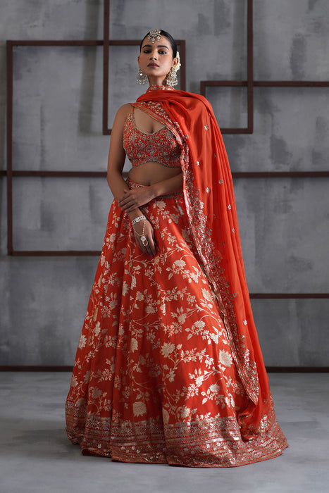 Orange embroidered bustier, banarsi lehenga and dupatta