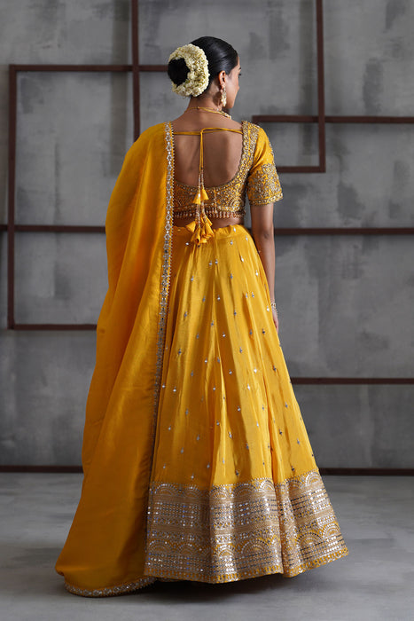 Yellow embroidered blouse, lehenga and dupatta