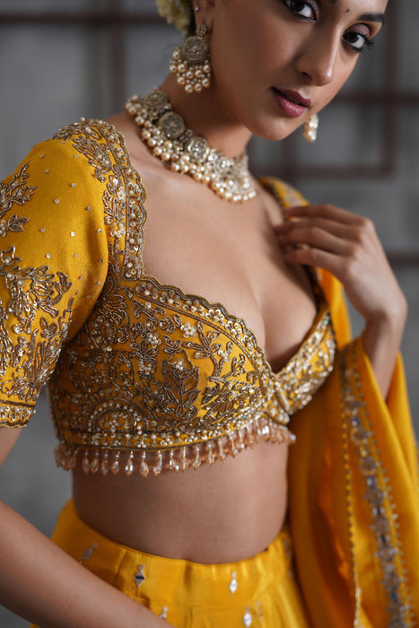 Yellow embroidered blouse, lehenga and dupatta