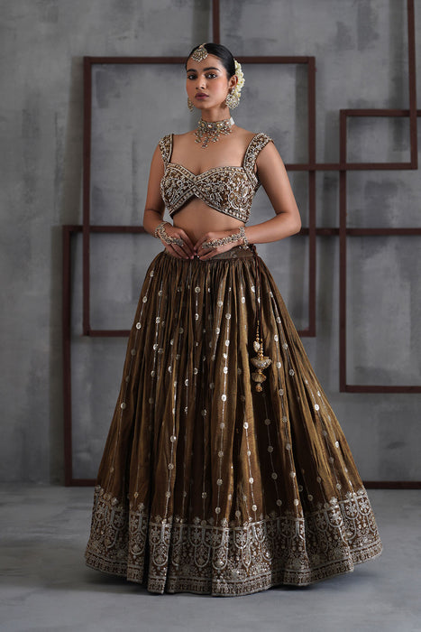 Brown embroidered blouse, lehenga and dupatta