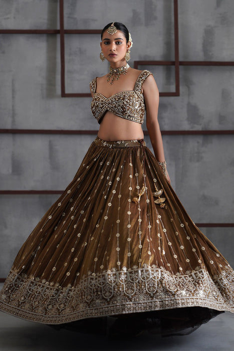 Brown embroidered blouse, lehenga and dupatta