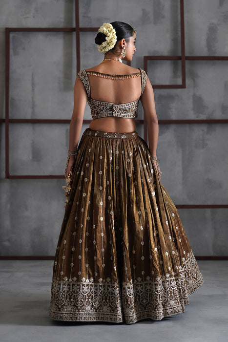 Brown embroidered blouse, lehenga and dupatta