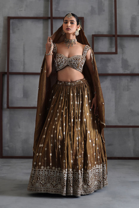 Brown embroidered blouse, lehenga and dupatta
