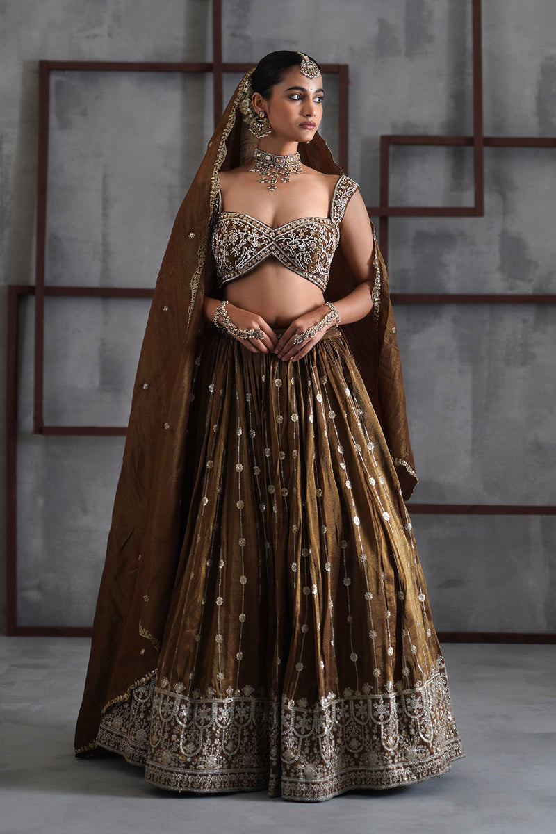 Brown embroidered blouse, lehenga and dupatta