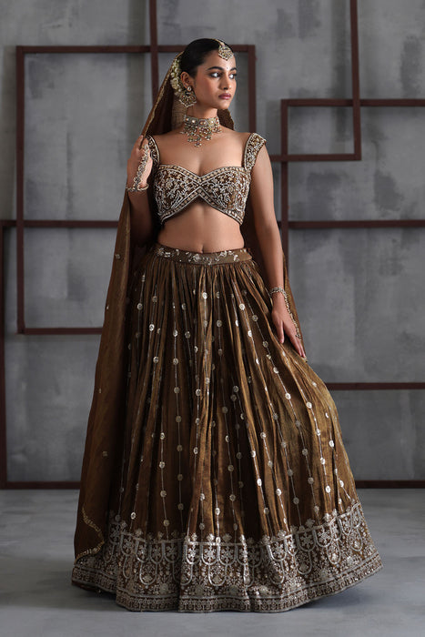 Brown embroidered blouse, lehenga and dupatta