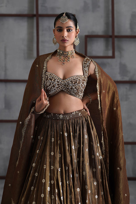 Brown embroidered blouse, lehenga and dupatta