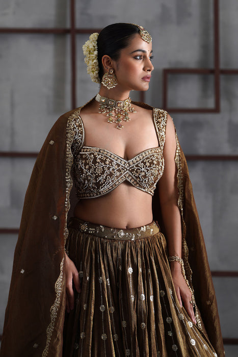 Brown embroidered blouse, lehenga and dupatta