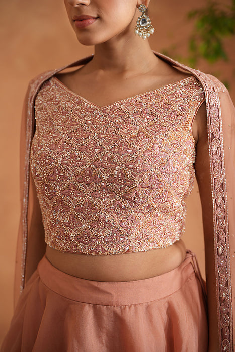 Peach Embroidered Blouse, Lehenga and Dupatta