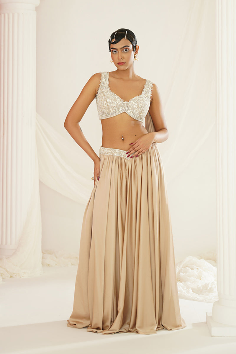Nude embellished lehenga, Blouse and dupatta set