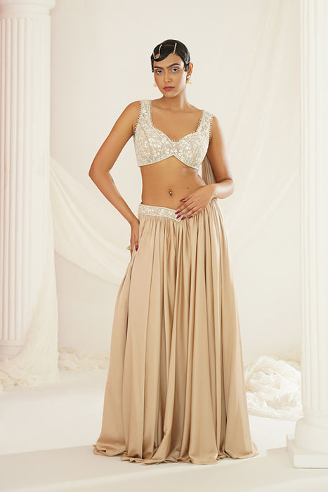 Nude embellished lehenga, Blouse and dupatta set