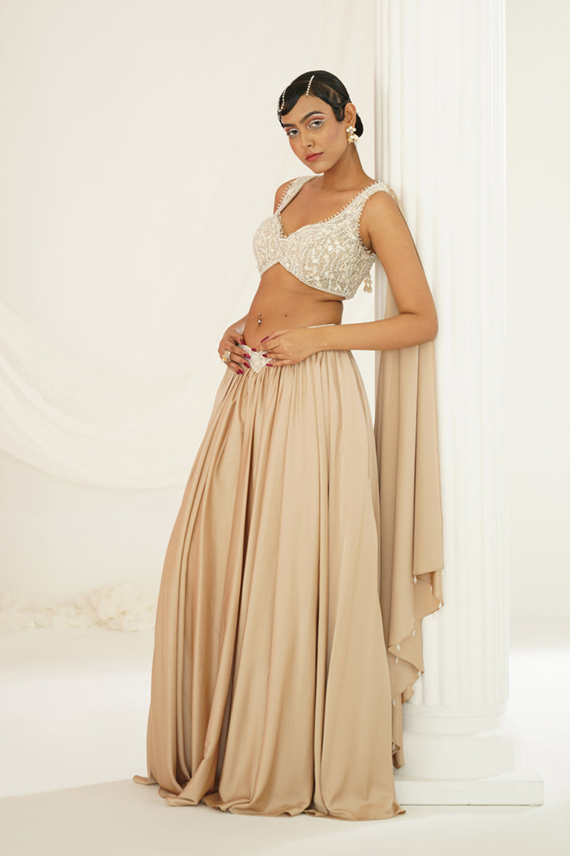 Nude embellished lehenga, Blouse and dupatta set