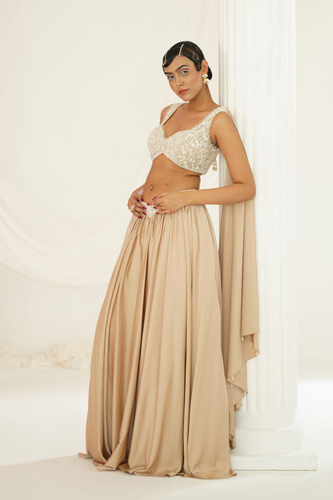 Nude embellished lehenga, Blouse and dupatta set