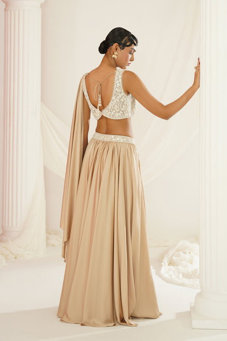 Nude embellished lehenga, Blouse and dupatta set