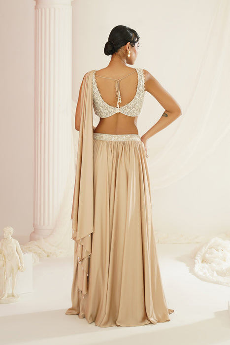 Nude embellished lehenga, Blouse and dupatta set