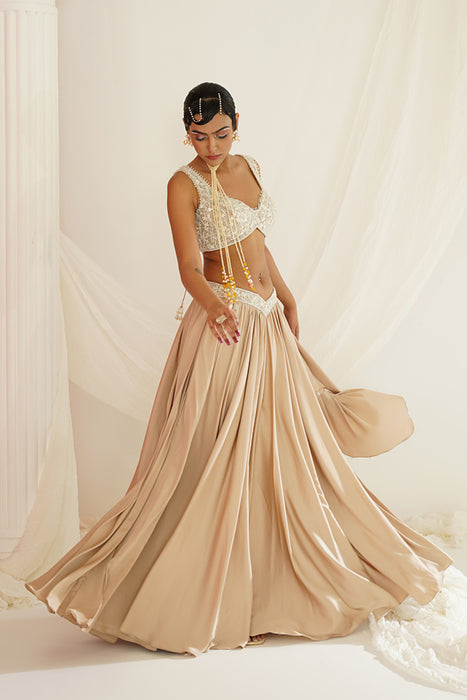 Nude embellished lehenga, Blouse and dupatta set